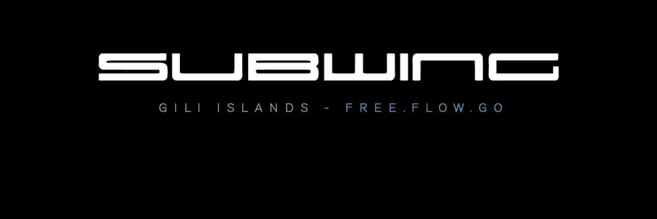 SubwingGili's profile banner image