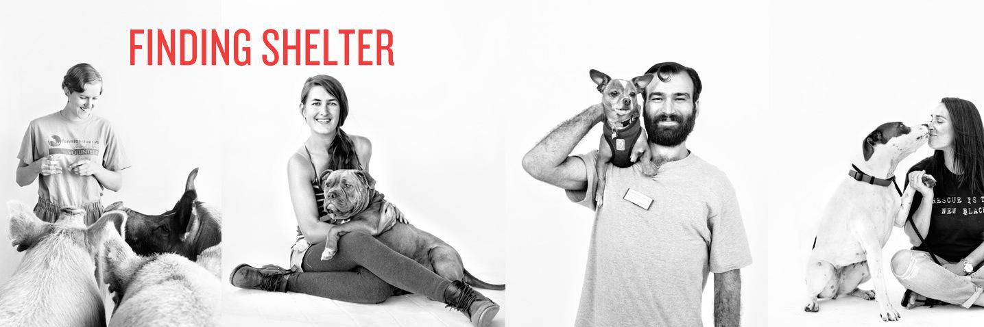 Finding_Shelter's profile banner image