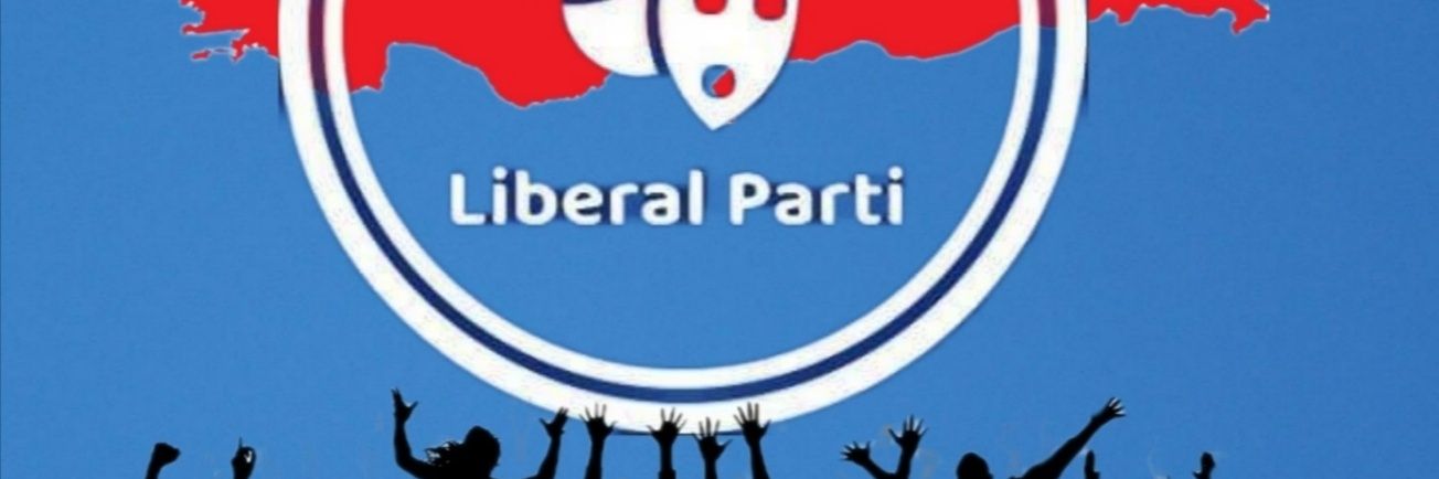 aliibilgen's profile banner image