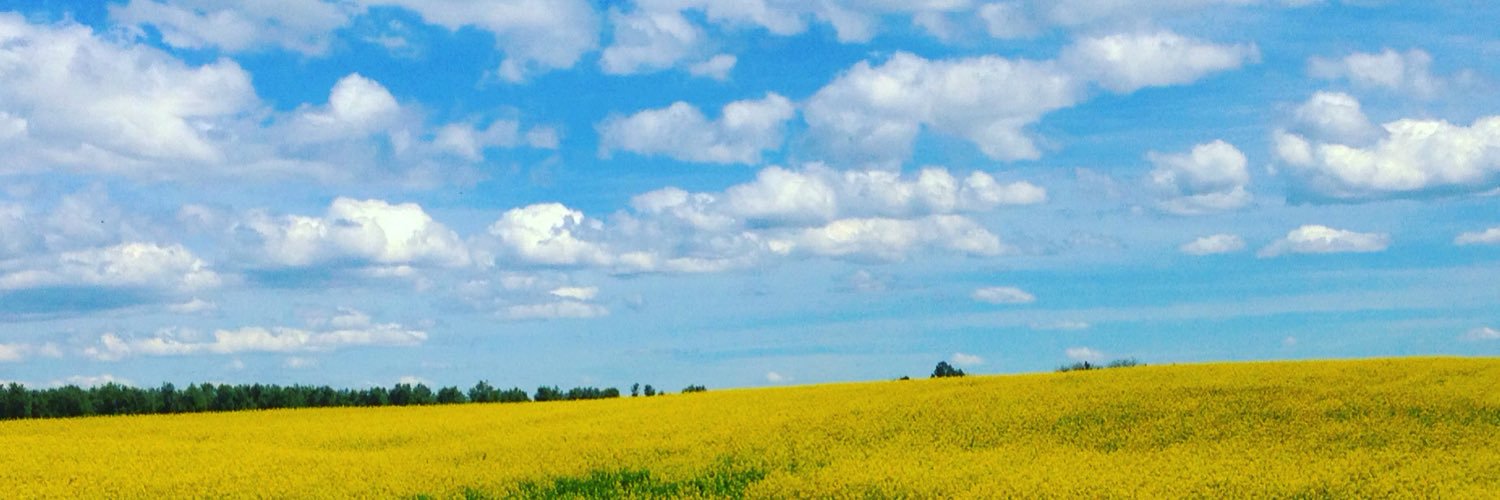 angvera6's profile banner image