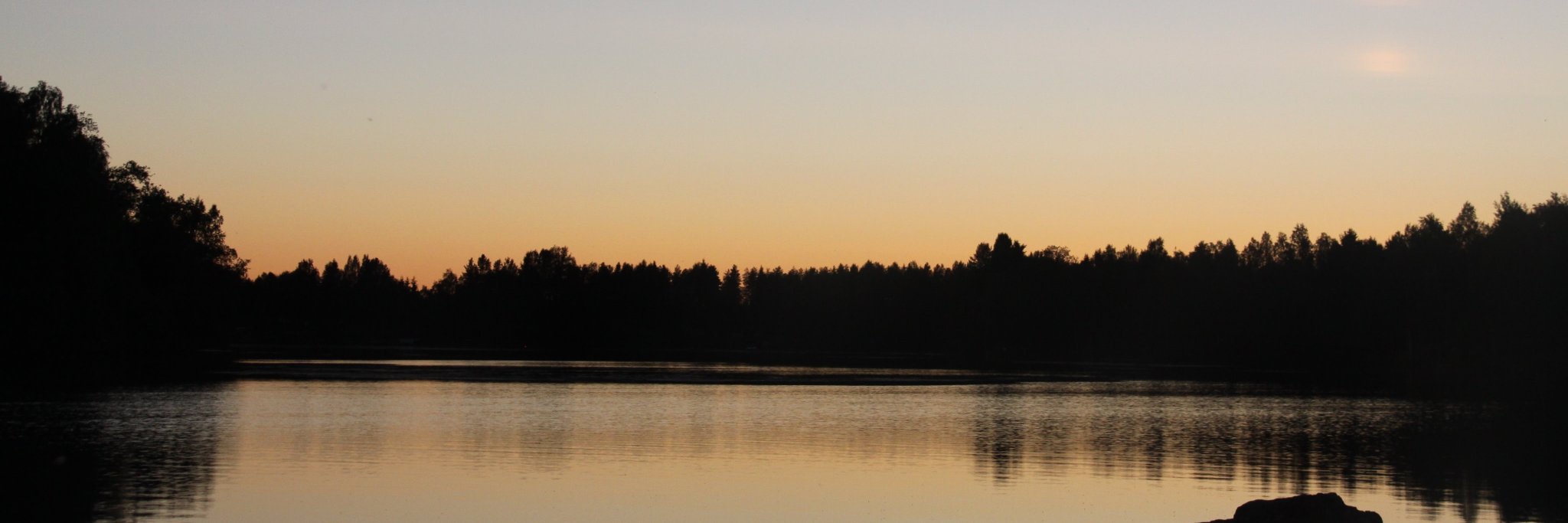 Piia-Noora Kauppi banner