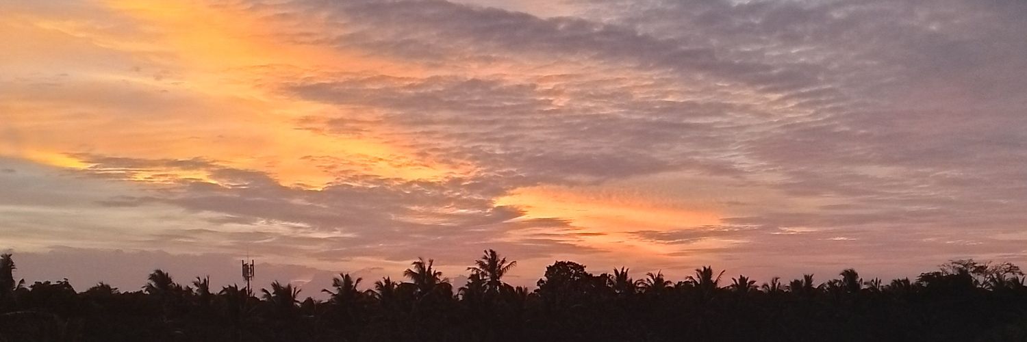 ChrishDeAlwis's profile banner image