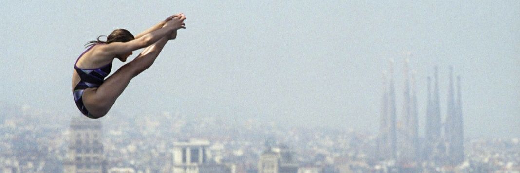 Vincent de Vries banner