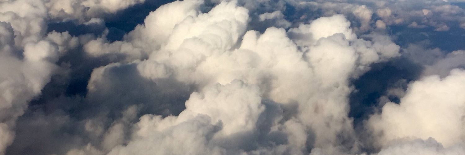 3🐦κια's banner