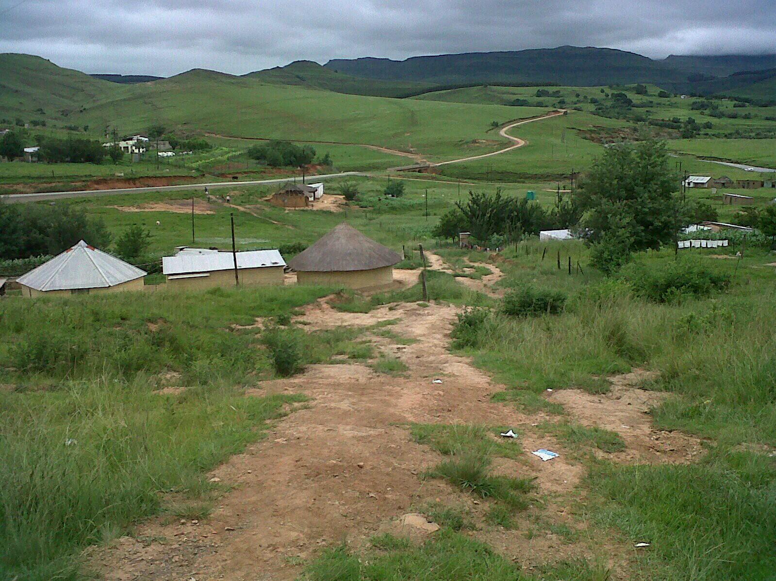 Molezo's profile banner image