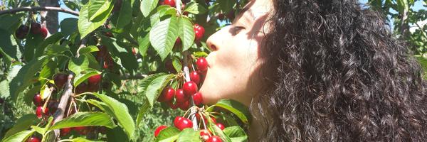 SeededNutrition Profile Banner