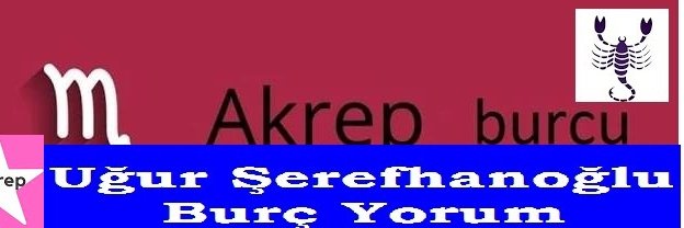 berna0713's profile banner image