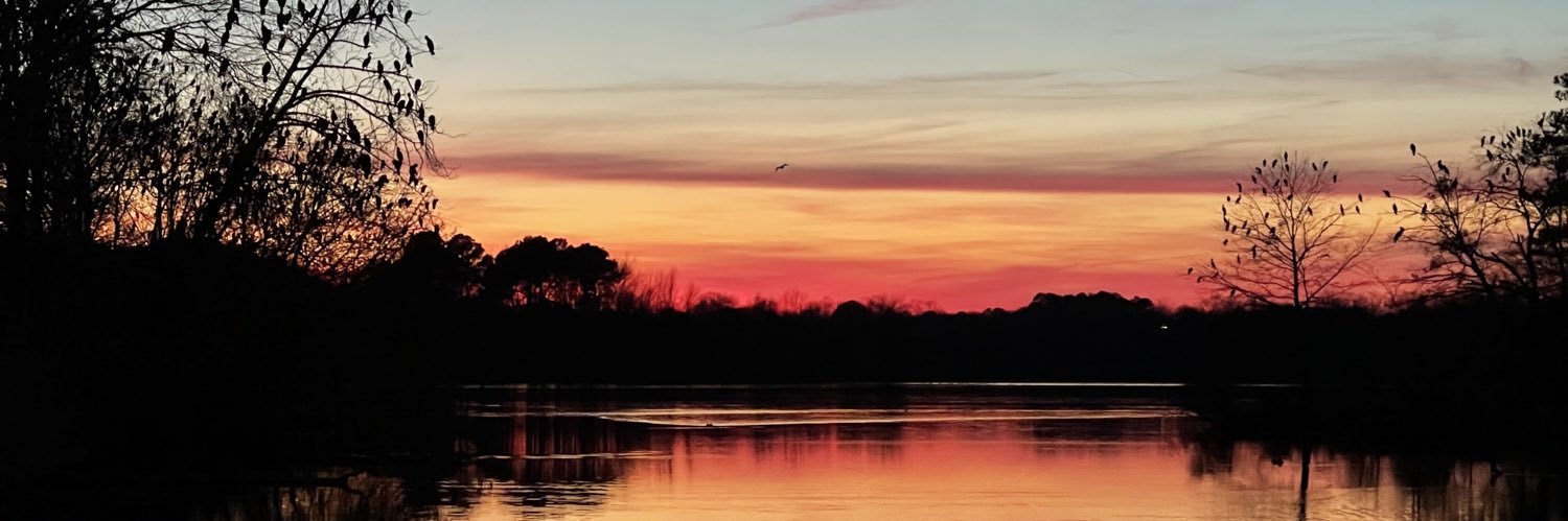 January_Leigh_'s profile banner image