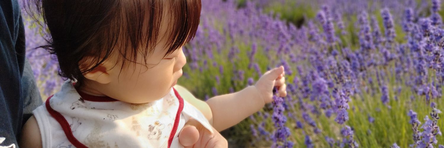 fruhling_323's profile banner image