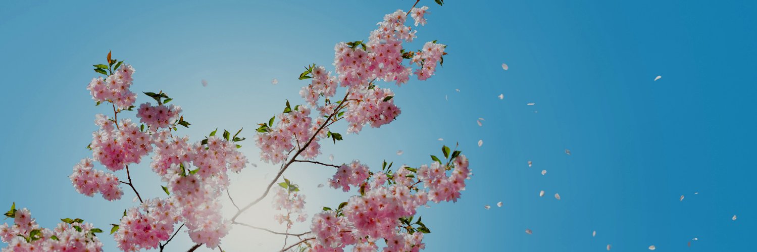 tpicong's profile banner image