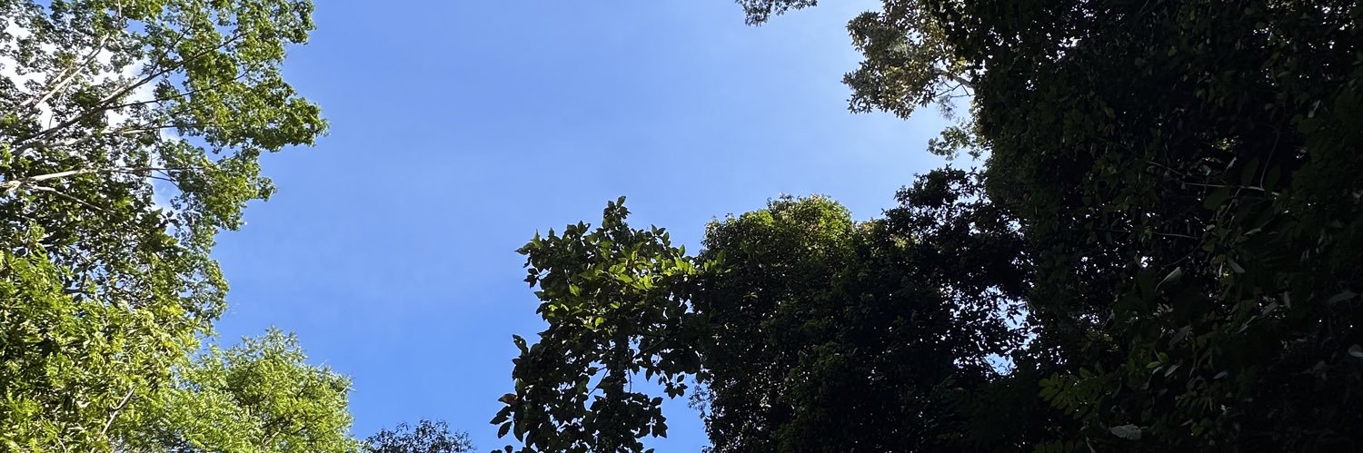 jackson_hew's profile banner image