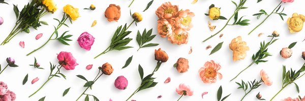 CustomScene Profile Banner