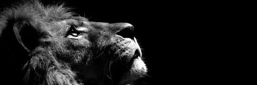 CMYLDZ1's profile banner image