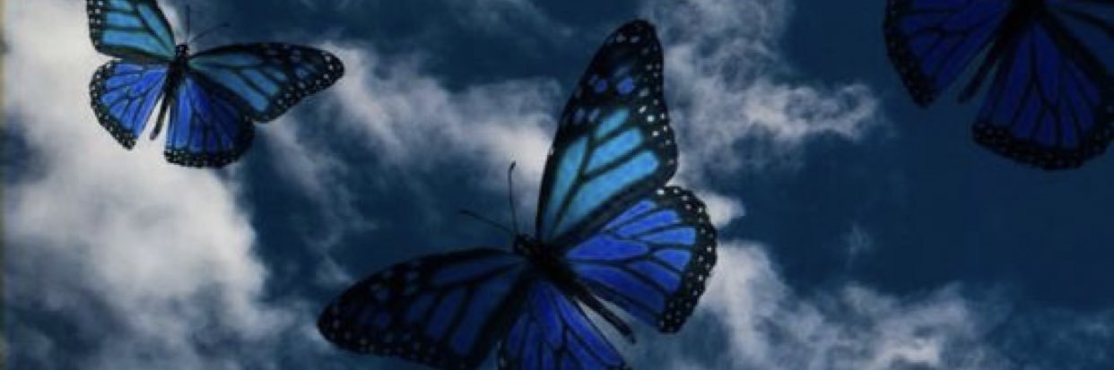 CanalRuby's profile banner image