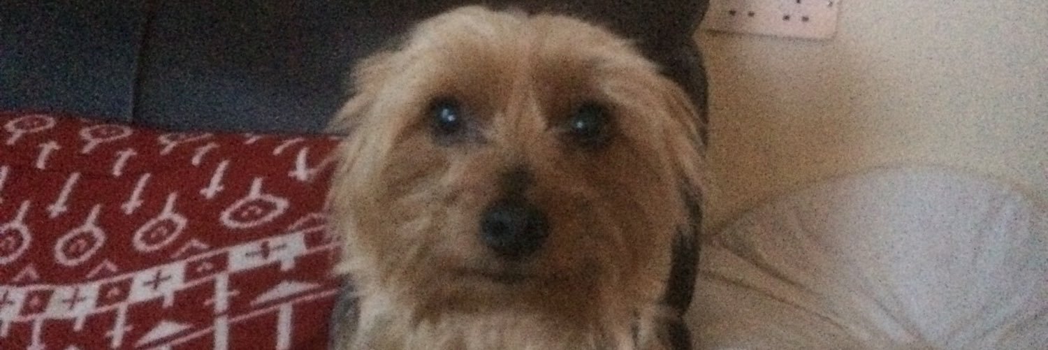 Mrs Old Tucker 💙 banner