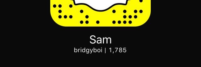 Sam bridge banner