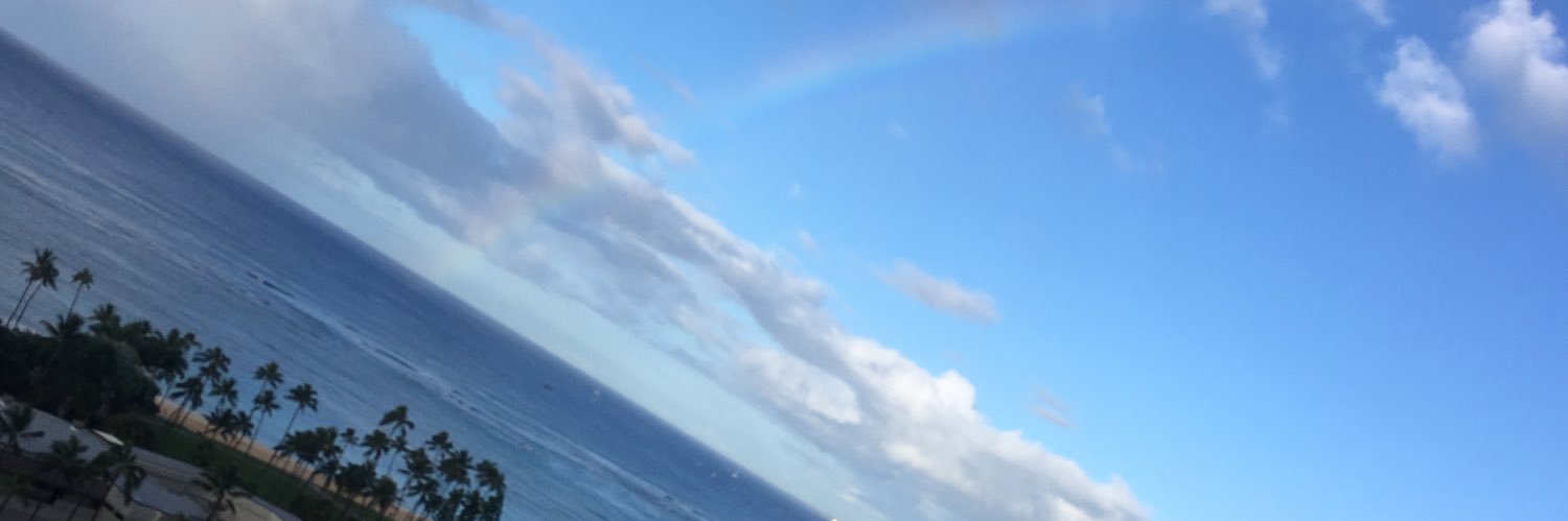 Ramunetaro's profile banner image