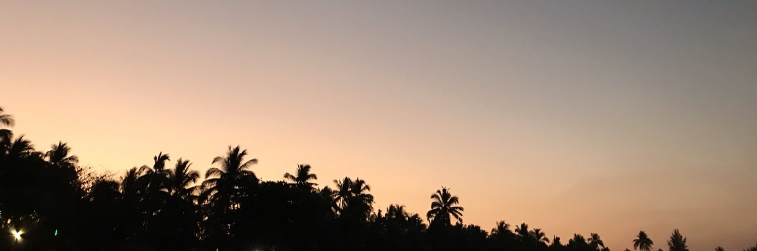 sallylin_11's profile banner image