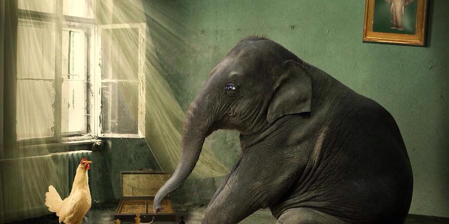 RobDreamrealist's profile banner image