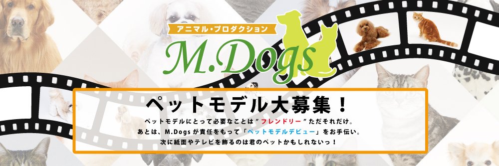 MDogsjp's profile banner image