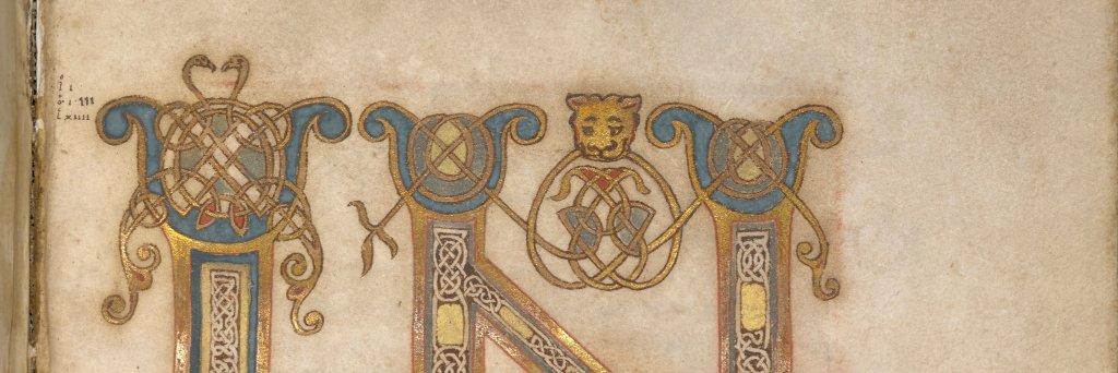 Dr Emilia Henderson-Roche banner
