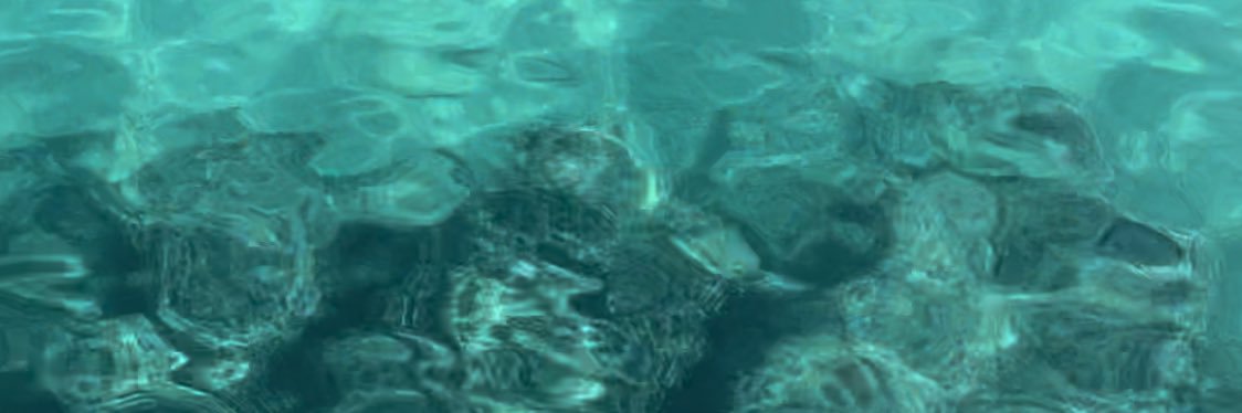 clapo01's profile banner image