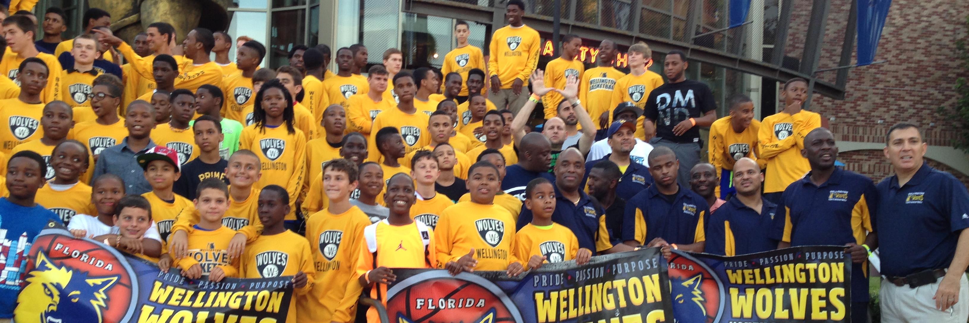 Wellington Wolves's banner