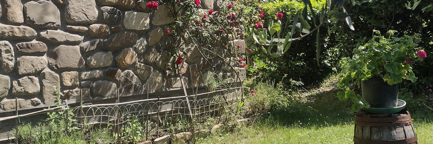 antiquensis's profile banner image