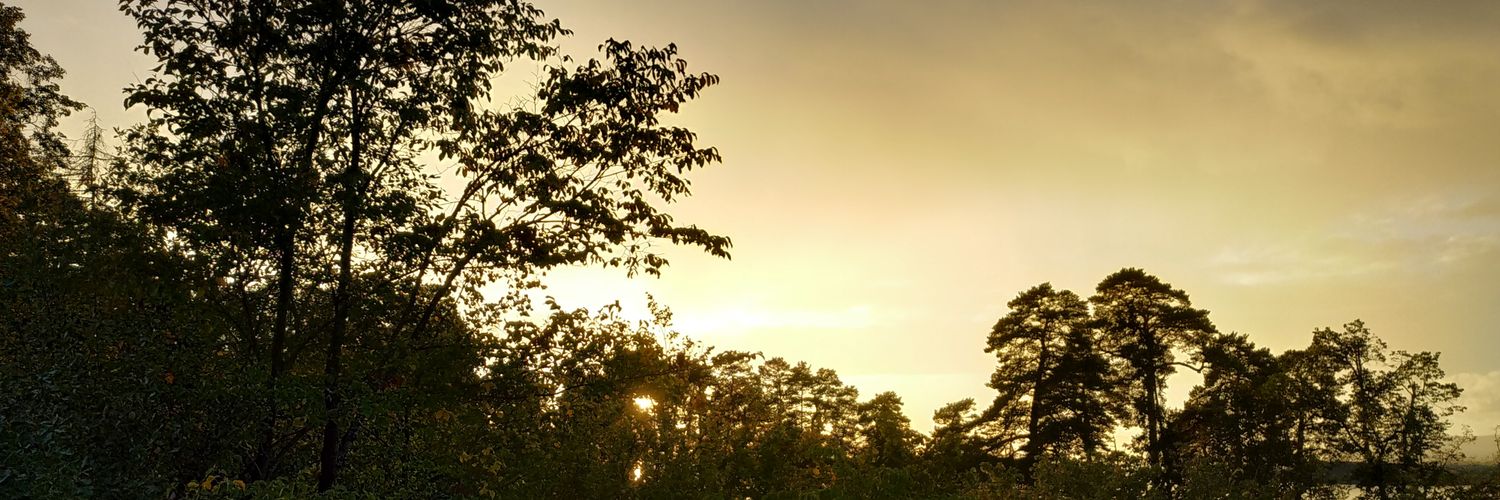 valerijko's profile banner image