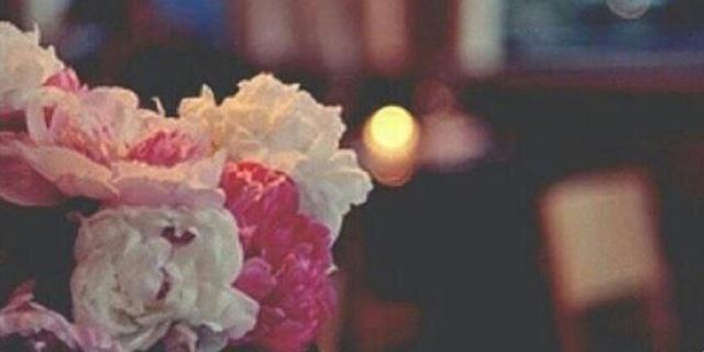 dana_34's profile banner image