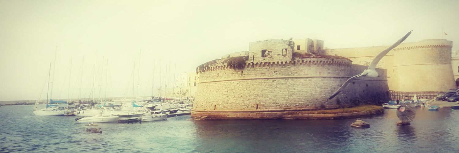 SIMONE CARICATO banner