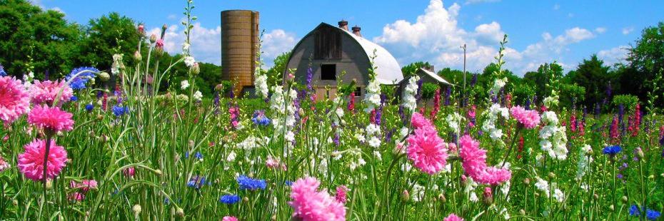 PeaceFlowers12's profile banner image