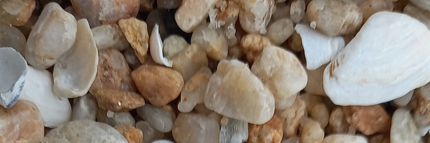 rferraguz's profile banner image
