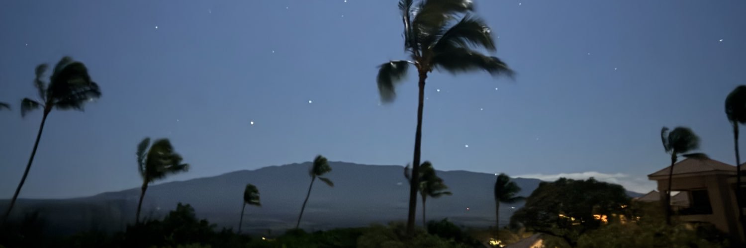 Avoloss's profile banner image