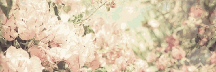 _Charliegxo's profile banner image