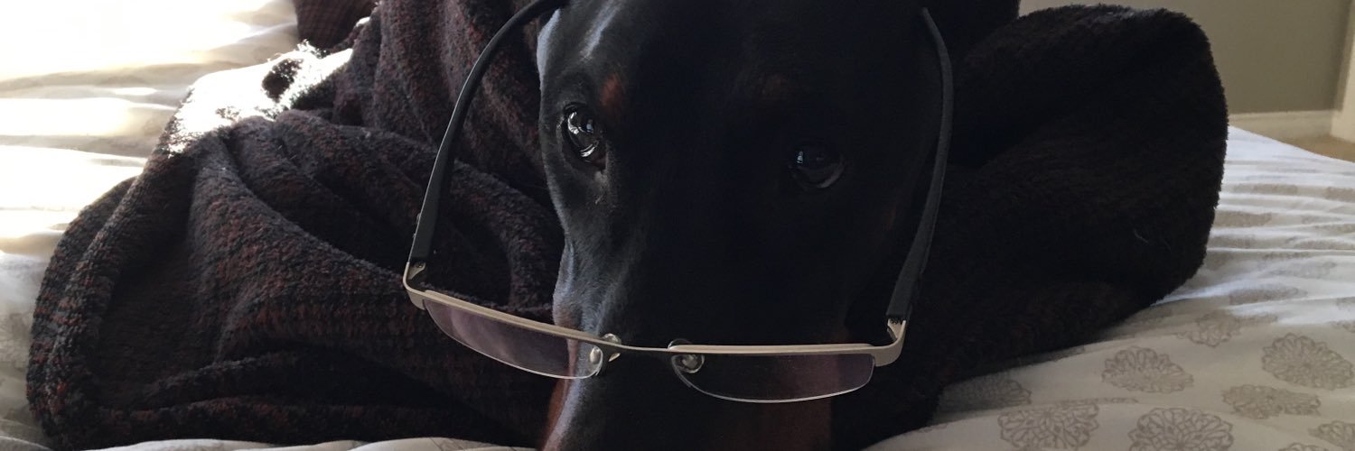 TibbettsHarry's profile banner image