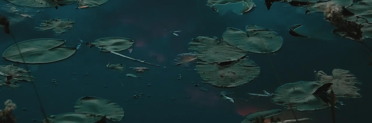 goIdvans's profile banner image