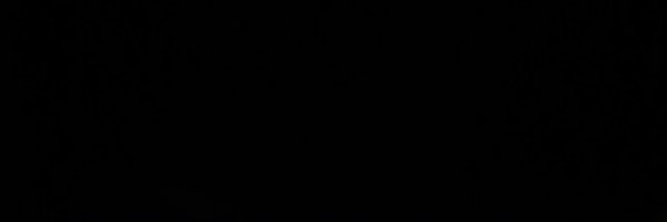 Pixipixel Profile Banner