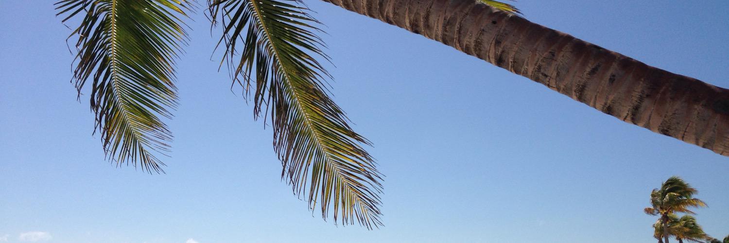 Salima Nachite banner