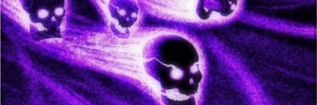 vitorcarrog's profile banner image