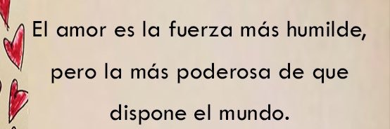 MariaJosePecoR1's profile banner image