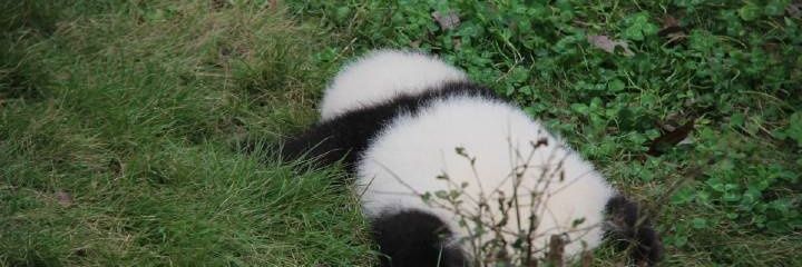 leeyebrows's profile banner image