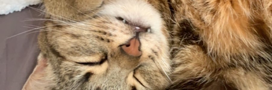 ManonGvl's profile banner image
