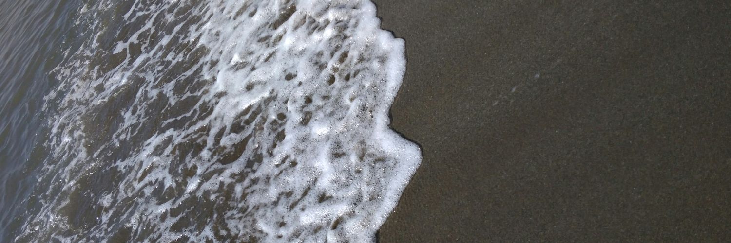 Hayhannn's profile banner image