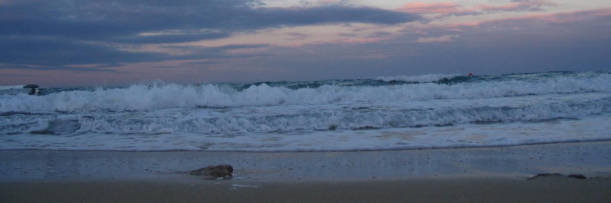 Theoni Georgiou banner