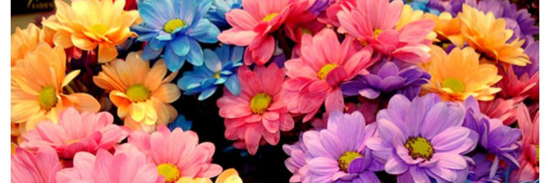 radar3863's profile banner image