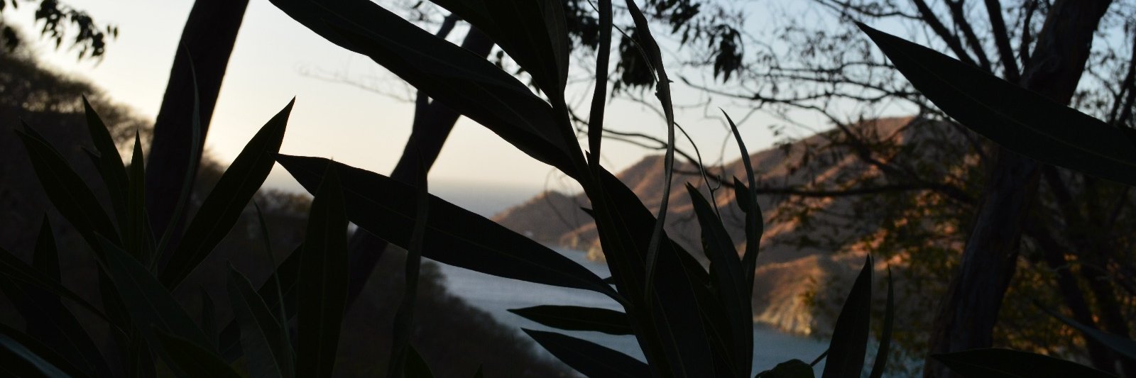 damafasa's profile banner image