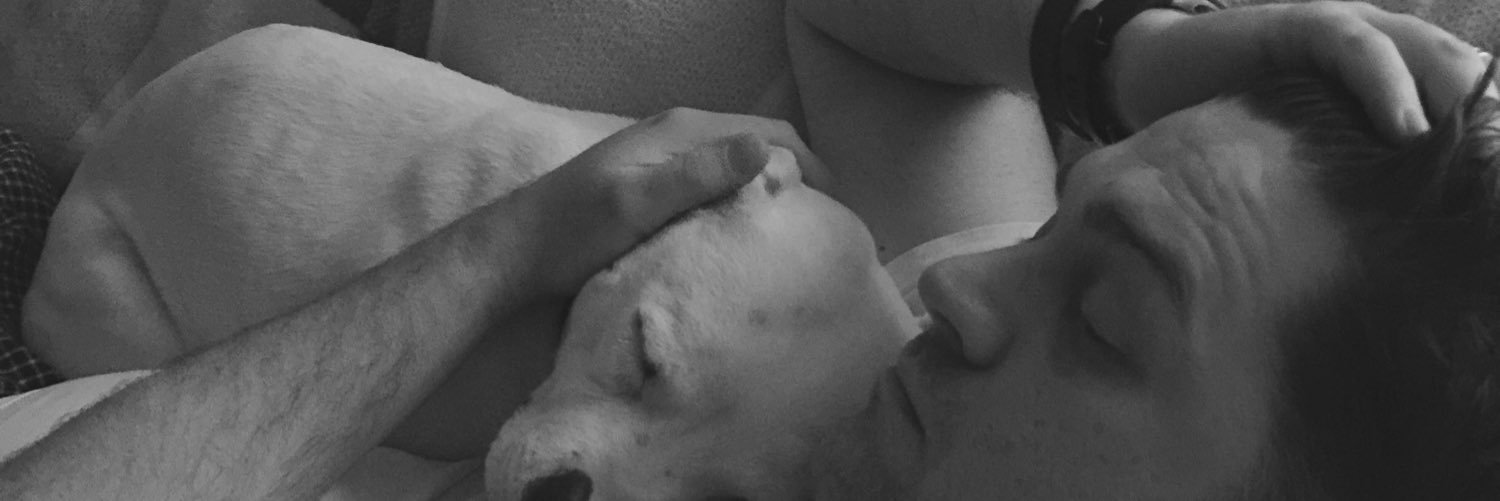 SummerTheStaffie banner