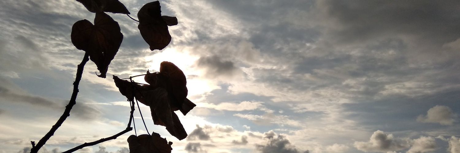 likeeobram's profile banner image