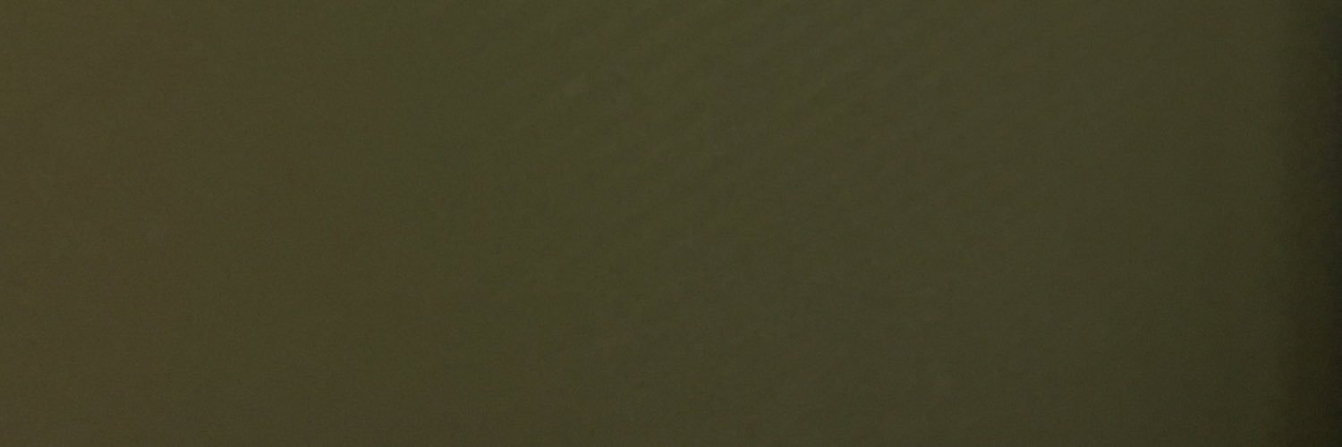 sarahlake3's profile banner image